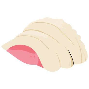 A conch shell with prominent natural grooves and textures sits on a smooth surface. The shell has a creamy beige color with hints of pink, and its ridged exterior is well-defined. Soft, warm lighting gently illuminates the shell, casting subtle shadows that accentuate its curves and indentations. The background remains simple to keep the focus on the conch shell's intricate details and patterns.