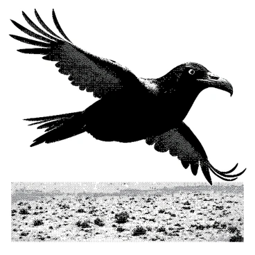 A large raven with shadowy wings flying over a desolate landscape