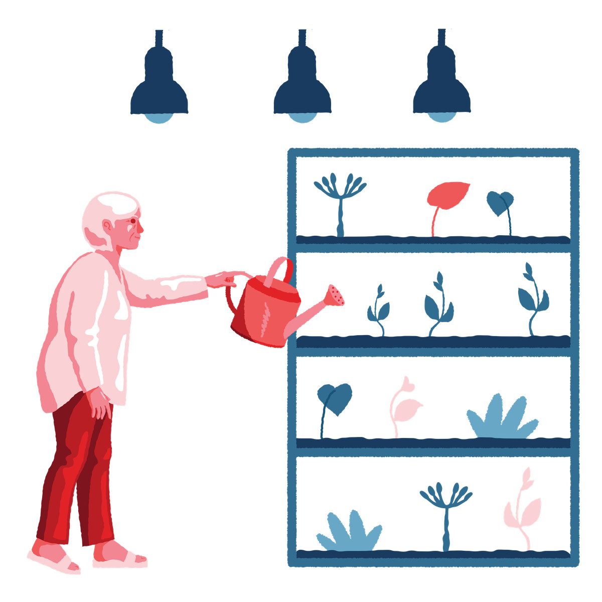 Ilustración Gardener watering plants in vertical garden, plant care and small space gardening en estilo Cherry a descargar en PNG y SVG