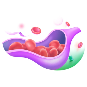 A dynamic scene depicting a series of "red blood cells" with a rich red color, traveling through a narrow "blood vessel." The blood vessel is shown as a smooth, slightly curved tube with a soft texture. The red blood cells are various sizes, some in the foreground and others in the background, creating a sense of depth and movement. Light reflects off the cells, highlighting their circular shapes. The vessel walls are depicted in a subtle gradient, enhancing the feeling of flow and circulation.