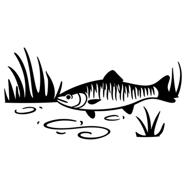 A striped bass swimming gracefully in the brackish waters of an estuary. The fish has pronounced dark stripes along its body, contrasting with the lighter sides. In the background, there are reeds and aquatic plants partially submerged along the water's edge. Ripples radiate outward from the fish as it moves through the water. The surface of the water reflects the surrounding environment, creating a dynamic scene filled with texture and movement.
