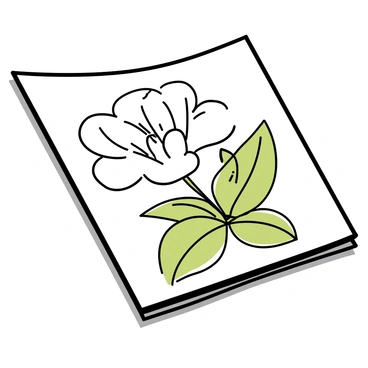 A detailed pencil sketch depicting a gardenia flower in full bloom, showcasing its multiple layers of white petals that gently curl at the edges. The flower is centered on the page, with delicate veins visible on each petal. Surrounding the flower are several glossy green leaves, with prominent veins and varying shades of green, adding depth to the composition. The sketchpad is slightly angled, emphasizing the softness of the petals against the rough texture of the paper. The entire arrangement is carefully planned, creating a harmonious balance between the flower and its leaves.