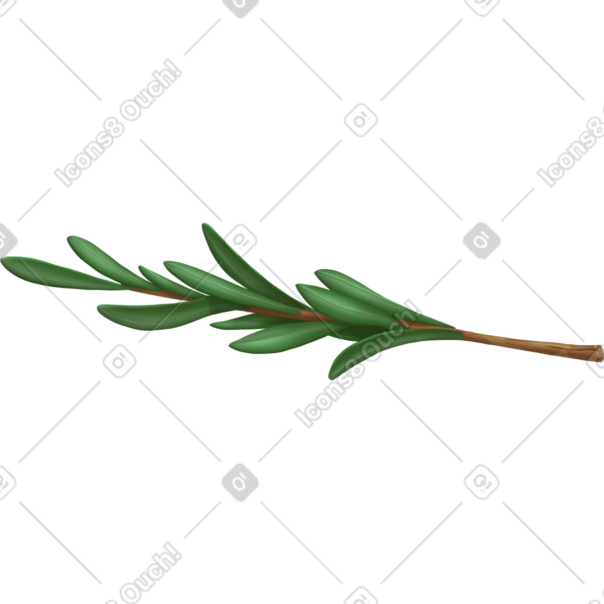 Rosemary illustration in Props style download in PNG, SVG