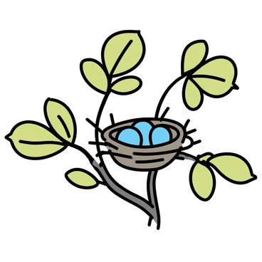 A small bird's nest made of twigs and leaves is situated among the branches of a fig tree. The nest contains three tiny, pale blue eggs. The fig tree has broad, green leaves, casting gentle shadows around the nest. The branches are thick and textured, interwoven with smaller twigs. A few figs, unripe and green, are visible among the leaves, creating a natural habitat for the nest.