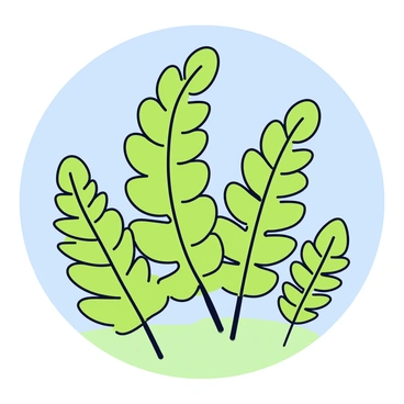 A cluster of vibrant green ferns with delicate, feathery leaves. The ferns are arranged in varying heights, some standing tall while others are slightly shorter, creating a layered appearance. Each fern is gently bent as they sway in the soft summer breeze, showcasing their movement. The background is a subtle gradient of light blue and pale green, suggesting a clear sky on a warm day.