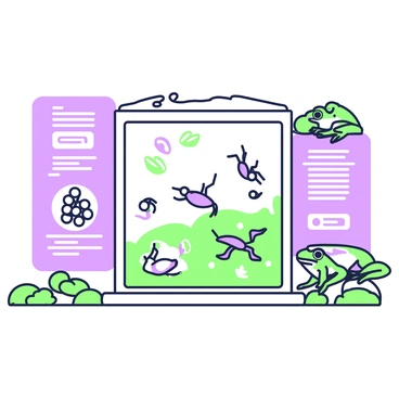 An interactive museum exhibit is set up to showcase different stages of frog development and anatomy. The centerpiece features a large, clear viewing case displaying a series of specimens. On the left, there are eggs clustered together, showing the early stage of development. Next to the eggs, there are tadpoles swimming in water, clearly displaying their elongated bodies and tails. Further along, there are small froglets emerging from the water, with developing legs and still a hint of tail. On the right side, adult frogs are perched on rocks and lily pads, showcasing vibrant patterns and textures on their skin. Informational panels are placed around the exhibit, detailing the life cycle stages and anatomical features of frogs, including their lungs and unique skeletal structure. Visitors can interact with touch screens to learn more about each stage of development.