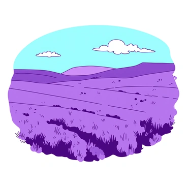 A vast field of purple flowers stretches across the landscape, creating an expansive carpet of color under a clear blue sky. The flowers sway gently in the breeze, filling the air with a delicate scent. In the distance, rolling hills provide a gentle backdrop to the field, contrasting with the vibrant purple. Scattered throughout the field are patches of green grass intermingled with the flowers, adding texture and depth to the scene. A few fluffy white clouds float lazily above, completing the serene atmosphere of this picturesque landscape.
