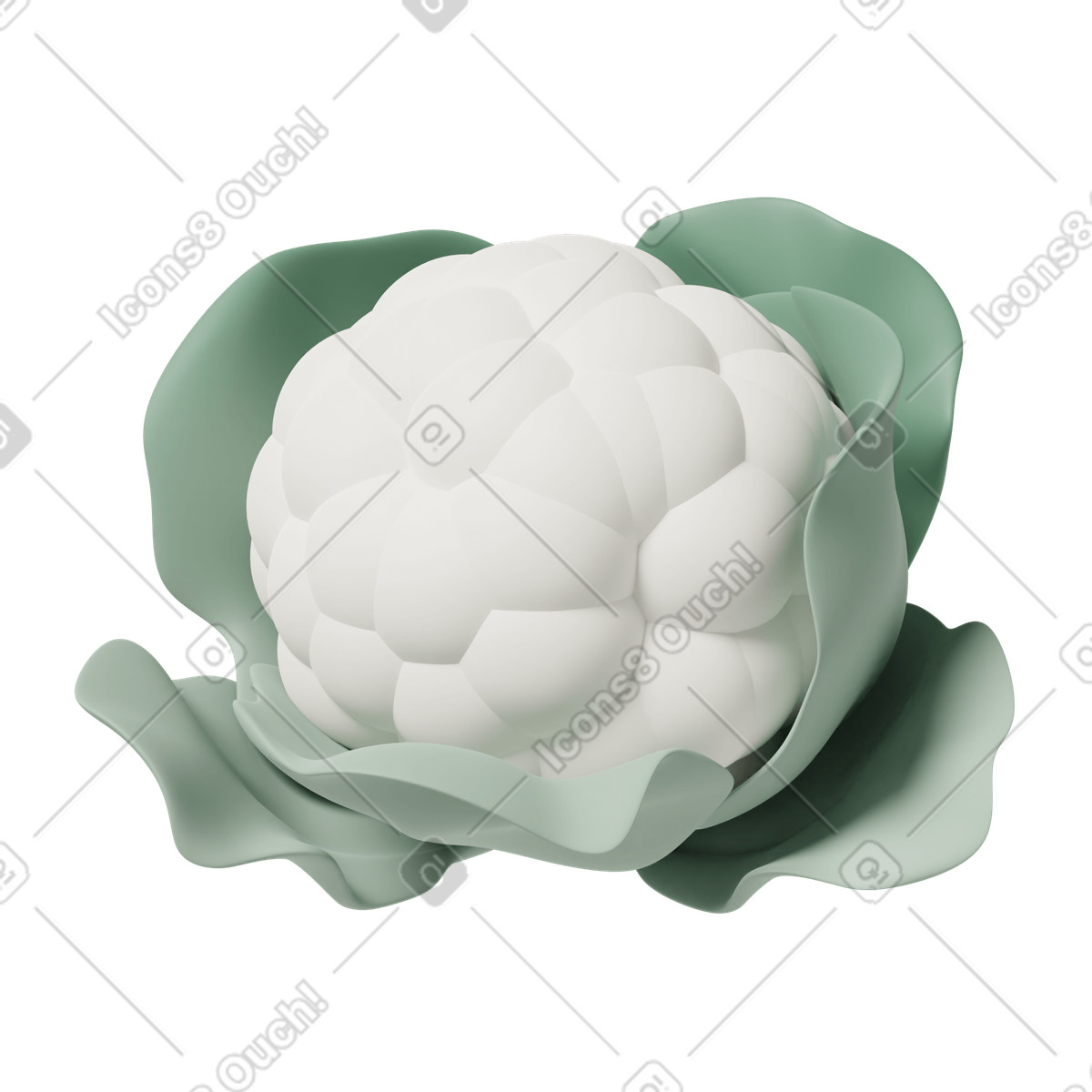 White cauliflower illustration in 3D Casual life style download in PNG, SVG