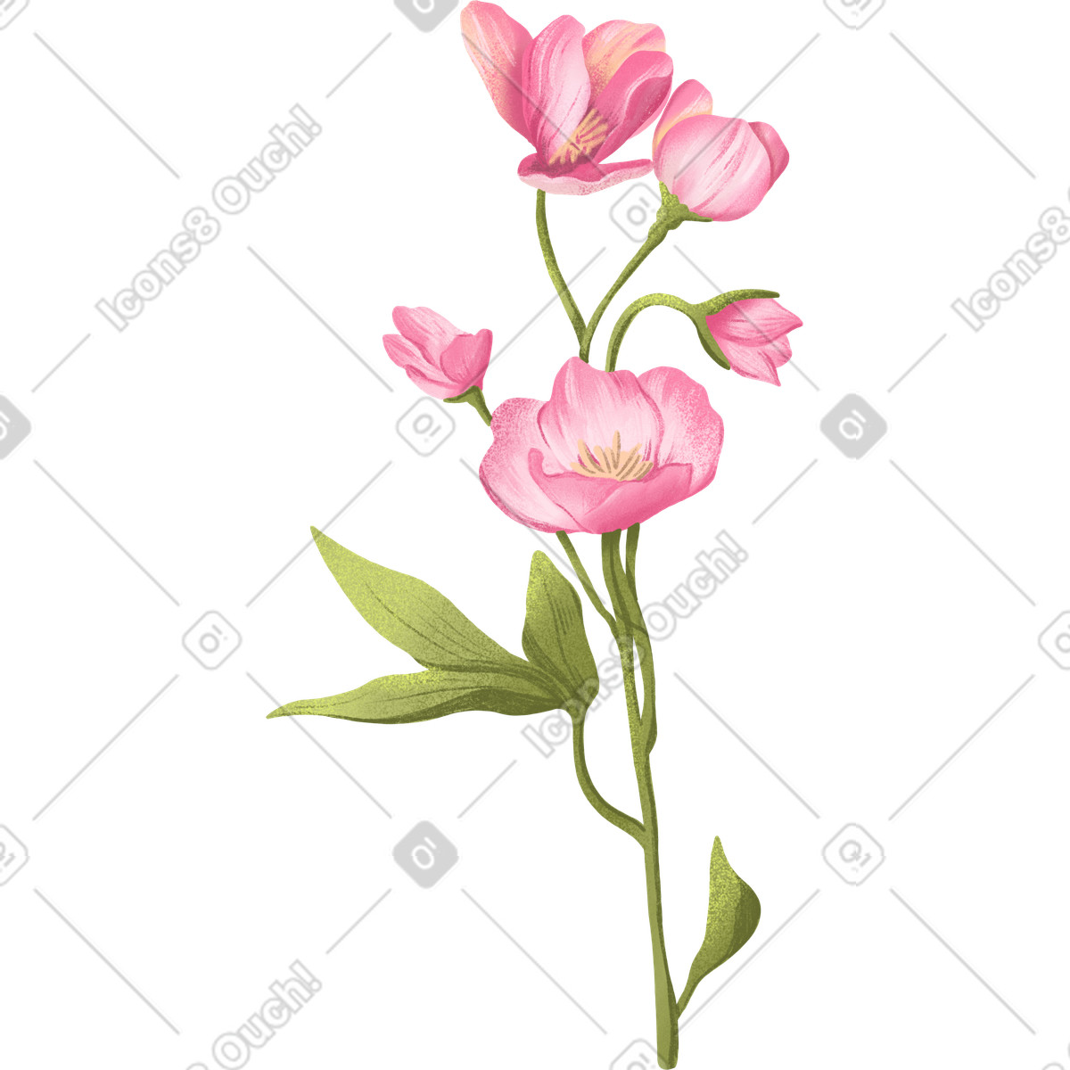 下载 Floral 风格的 Twig with cream flowers and light green leaves 插画，支持 PNG、SVG 格式