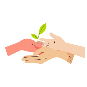 Four hands of different ages come together to hold a single small green sapling. The hands include a child's small hand with soft skin, a teenager's slightly larger hand with a few freckles, an adult's hand with defined knuckles and a hint of maturity, and an elderly hand with wrinkles and age spots. The sapling is vibrant with fresh green leaves and a thin stem, symbolizing growth. Each hand is positioned with care, showing the connection and commitment to nurturing the young plant.