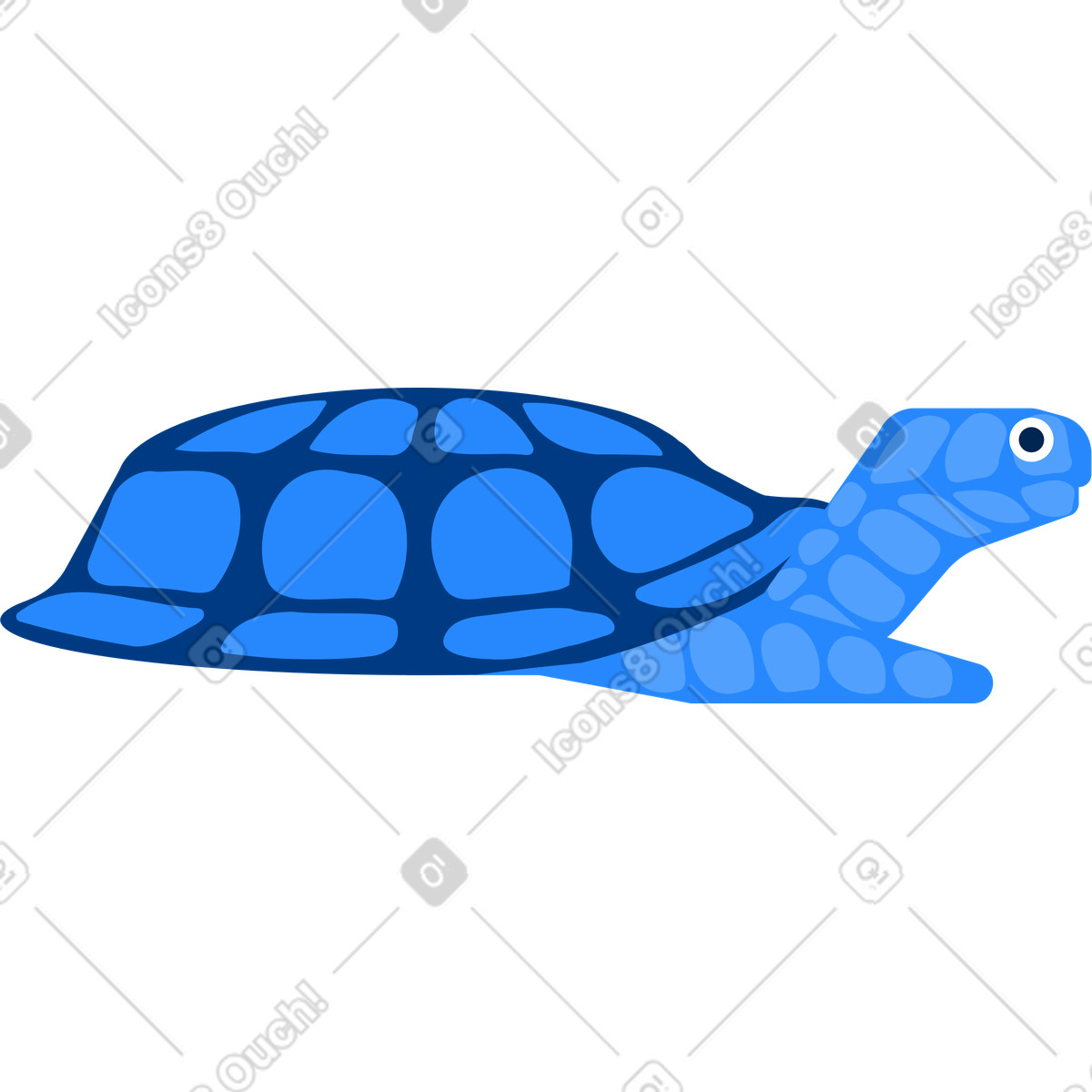 Turtle illustration in Urban style download in PNG, SVG