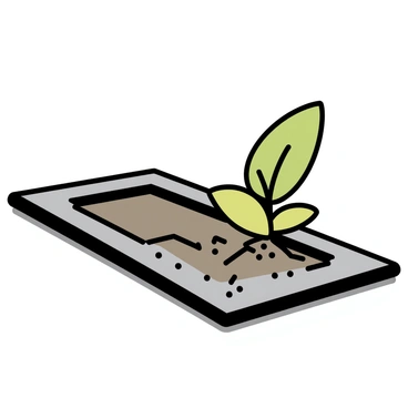 A small plant growing resiliently beside a sidewalk drain