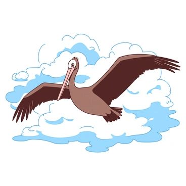 Brown pelican