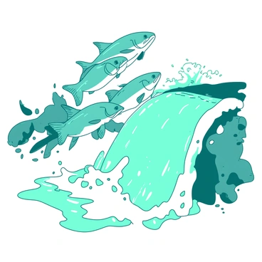 A group of teal salmon is leaping up a white waterfall during their migration. The water is cascading down in frothy white splashes, creating a misty effect around the fish. The salmon are captured mid-air, their sleek bodies arched gracefully as they jump towards the top of the waterfall. In the background, the rocky edges of the waterfall are visible, adding texture to the scene. The sunlight glimmers off the water, enhancing the dynamic movement of the salmon in their natural habitat.