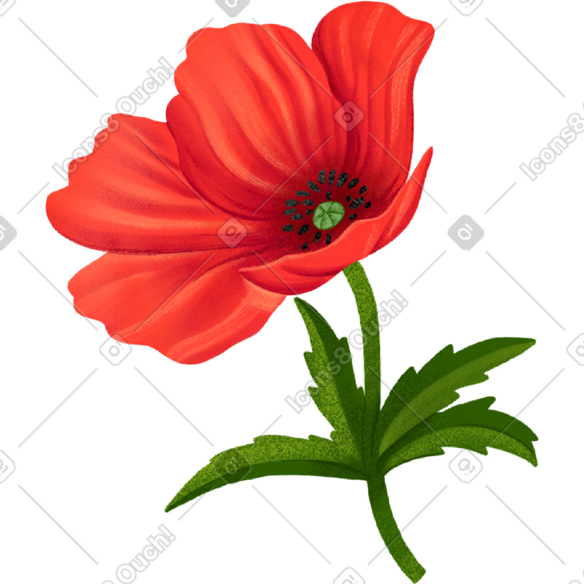Large red poppy with a dark center illustrazione in stile Floral scarica in PNG, SVG