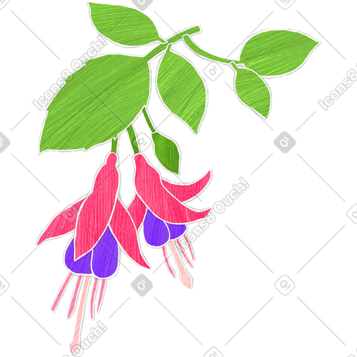 Crafty スタイルの Fuchsia flowers on a branch のイラストをPNG、SVG形式でダウンロード