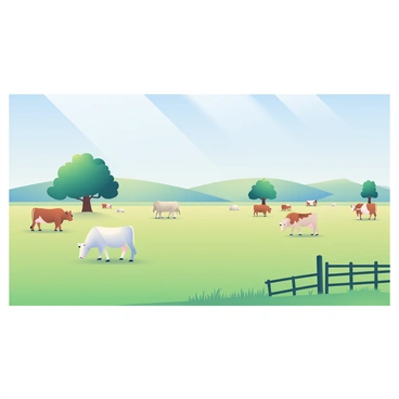 A vast Texas ranch stretches across the horizon, showcasing extensive open plains under a clear blue sky. Grazing cattle are scattered throughout the landscape, with a mix of brown and white cows peacefully munching on the green grass. In the distance, a few large trees provide shade, contrasting with the expansive sunlight illuminating the scene. Rolling hills frame the backdrop, creating a sense of depth and tranquility in this natural setting. A rustic wooden fence runs along a section of the property, adding a touch of character to the ranch's serene atmosphere.