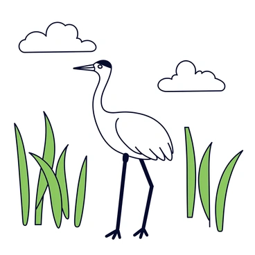 A crane with long legs and a slender neck is standing gracefully amid tall, green reeds that sway gently in the breeze. The crane has white feathers with a hint of black on its head and neck. The reeds are varying in height, some taller than the bird, creating a natural habitat. The scene captures the movement of the reeds as they bend slightly in the wind. The sky above is clear with a few fluffy white clouds drifting by.