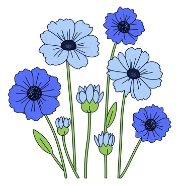Cornflower
