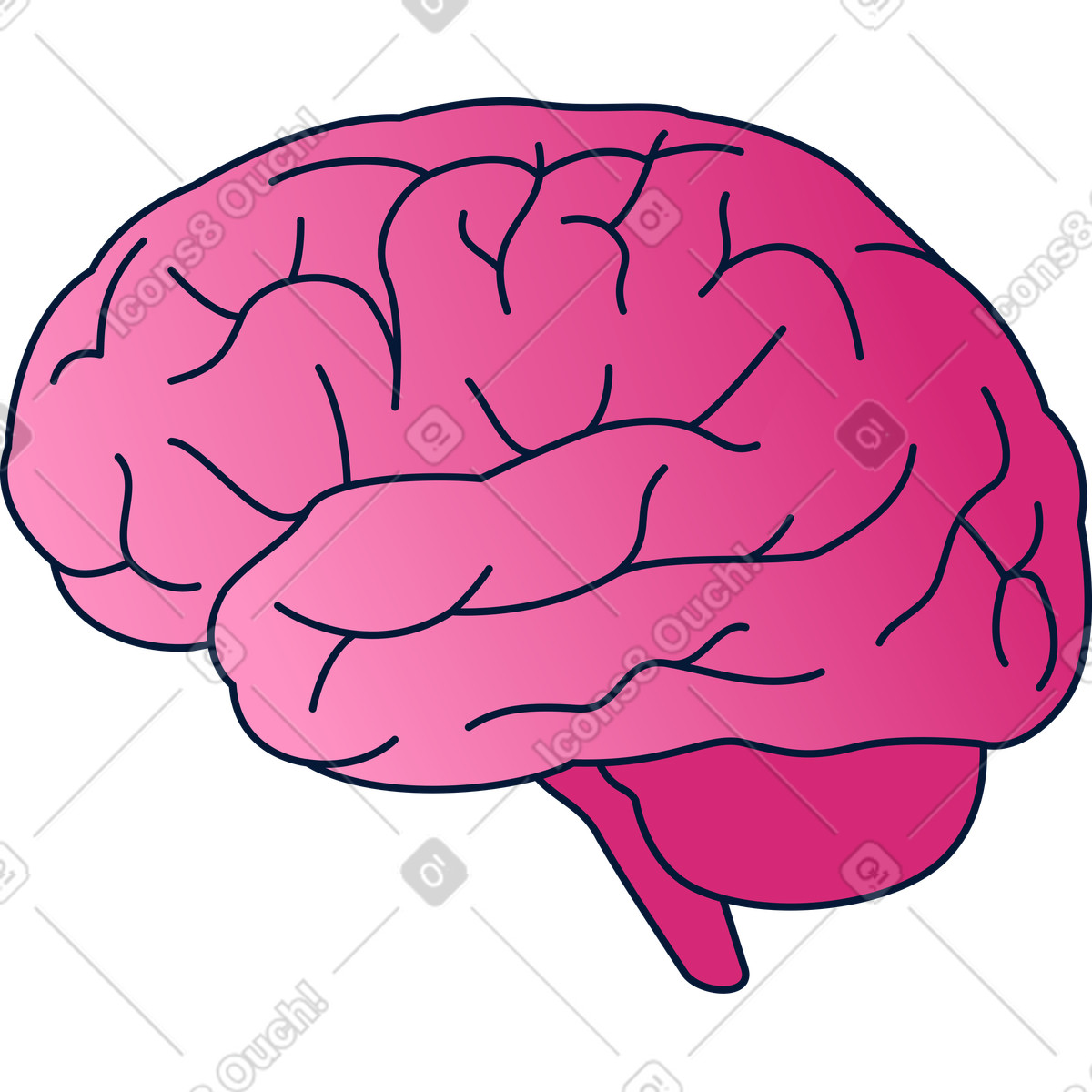 Brain illustration representing knowledge clipart educational graphics available in PNG