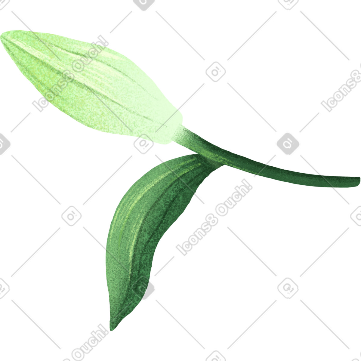 Floral スタイルの Small bud of white lily のイラストをPNG、SVG形式でダウンロード