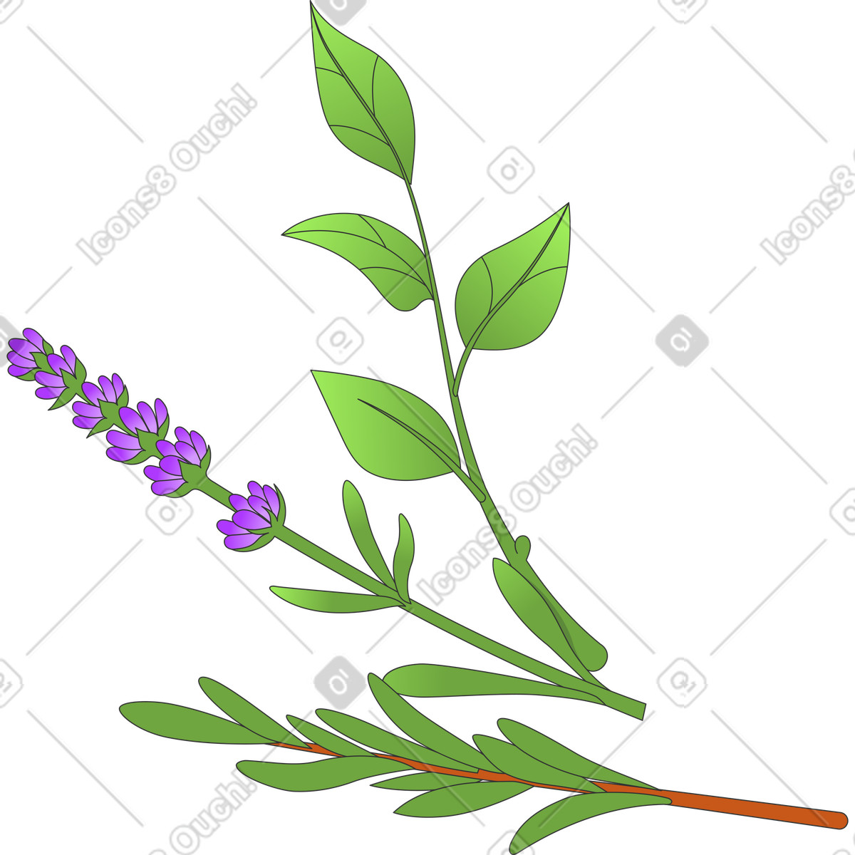Herb sprigs illustration in Kit style download in PNG, SVG