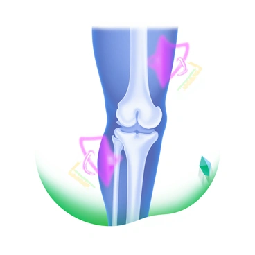 An X-ray image displaying a human leg with clear visibility of the bones and joint structures. The leg is positioned straight, allowing for an unobstructed view of the femur, tibia, and fibula. The knee joint is prominently featured, showcasing the patella and the articulating surfaces. Surrounding the leg are outlines indicating the skin and muscle contours, enhancing the focus on the skeletal elements. The background is a light color, ensuring high contrast and clarity of the X-ray details.