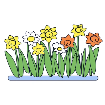 A flower bed with neat rows of daffodils. The daffodils are in various colors including bright yellow, white, and orange. Each flower is fully bloomed, showcasing their trumpet-shaped petals. The stems are green and sturdy, standing upright in the soil. Surrounding the daffodils, there is a small border of fresh green leaves.