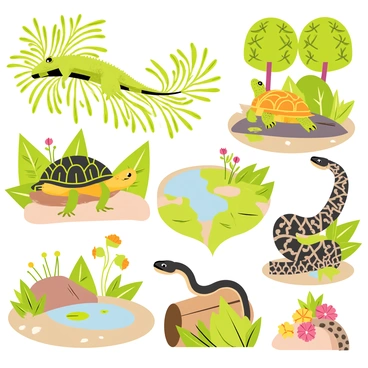 A vibrant scene featuring a collection of reptiles in their natural habitats. In one section, a green iguana rests on a large branch surrounded by dense green leaves. Nearby, a turtle with a patterned shell is basking on a smooth rock near a small pond, with lily pads floating on the water's surface. In another area, a snake with a sleek, patterned body is coiled around a log, blending into the earthy tones of the forest floor. The habitat is rich with details like colorful flowers, scattered pebbles, and patches of sunlight filtering through the trees.
