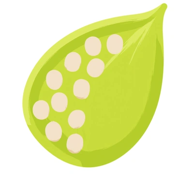 A close-up view of a lotus seed pod, showcasing its unique structure. The pod is green with a slightly textured surface, revealing numerous round, pale green seeds nestled within the pod's compartments. Each seed is visible, some showing a hint of beige color, contrasting with the vibrant green of the pod. The background is softly blurred to emphasize the intricate details of the lotus seed pod and the seeds inside.