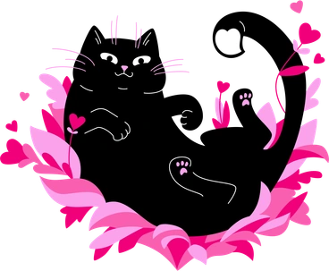 ネコ のPNGとSVGでのイラスト＆イメージ
