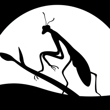 A silhouette of an orchid mantis perched on a branch, with intricate details of its limbs and body outlined. The mantis is posed gracefully, mimicking the delicate shape of an orchid flower. In the background, a horizon is visible with the sun setting, creating a dramatic contrast against the dark figure of the mantis. The sky is filled with a gradient of light transitioning from black to white, enhancing the focus on the silhouette of the mantis.