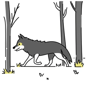 A grey wolf is moving stealthily among the tall, thin trees of a dense forest. The wolf has a thick, shaggy coat with dark and light grey fur. Its keen yellow eyes are focused ahead as it navigates through the underbrush. Light mist swirls around the forest floor, partially obscuring the ground, while the tree trunks are covered in patches of moss. The atmosphere is quiet, with the only sounds being the soft rustle of leaves and the distant calls of birds.
