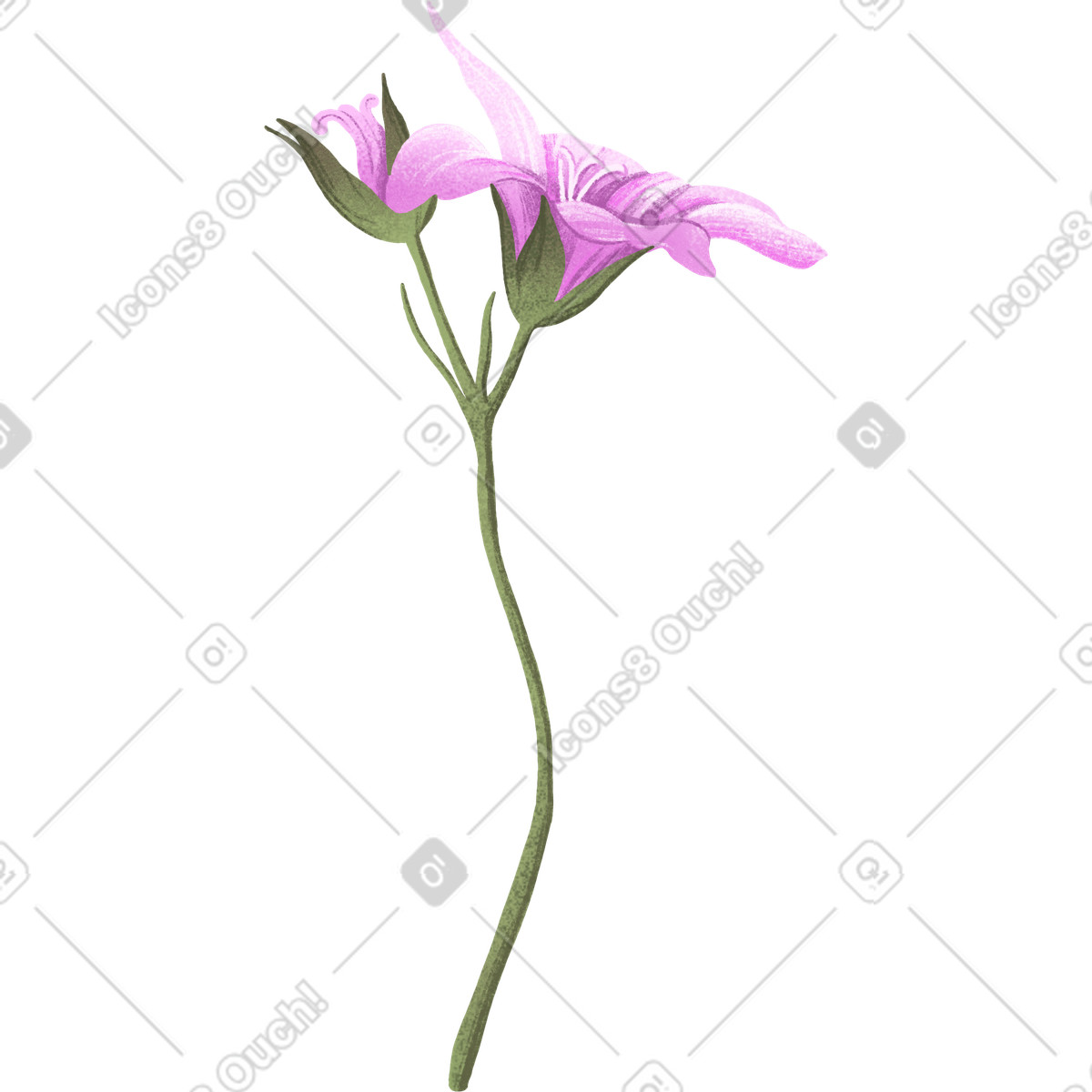 Illustration Fleur et bourgeon ouverts roses dans le style Floral à télécharger aux formats PNG, SVG