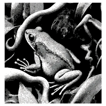 A frog is nestled among dense jungle foliage. Its skin features intricate textures, capturing the bumps and markings typical of its species. Surrounding the frog, large leaves and twisting vines create a thick canopy, providing concealment. The plants have various shapes and sizes, with some leaves stretching outward while others curl inward. The composition emphasizes the frog's camouflaged position, with shadows and light creating depth in the scene. Every detail highlights the contrast between the frog and its vibrant surroundings, all rendered in a black and white halftone dot pattern.