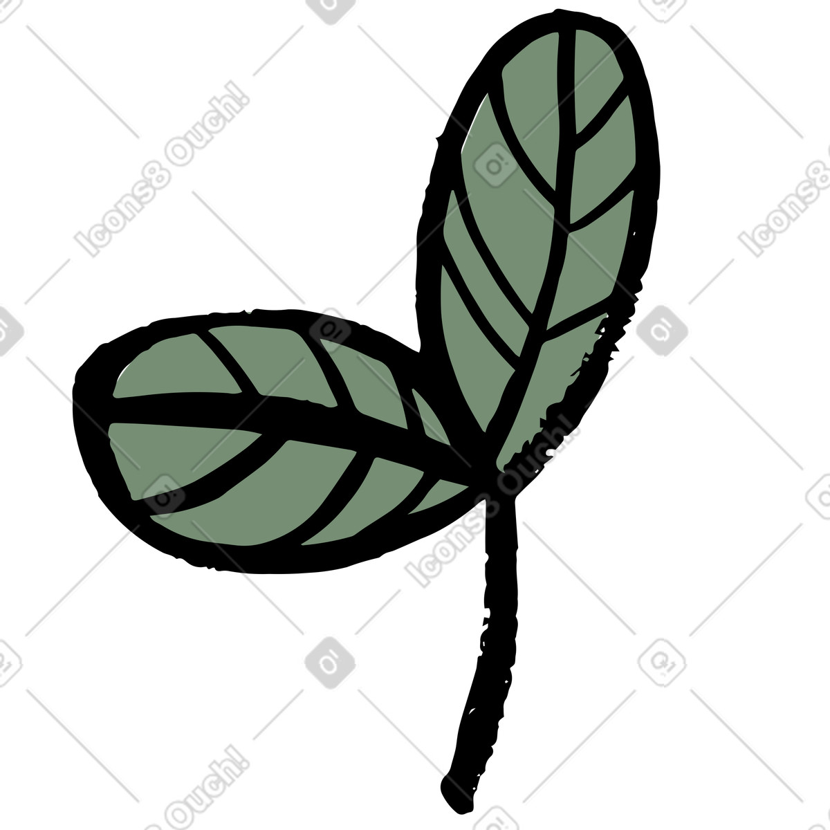 Minimal green leaves on twig illustration in Scandi style download in PNG, SVG