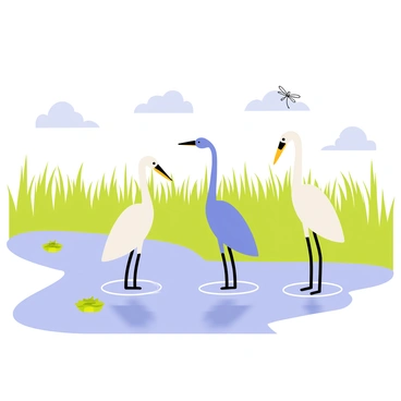 Wading birds standing in shallow water at a tranquil marsh.