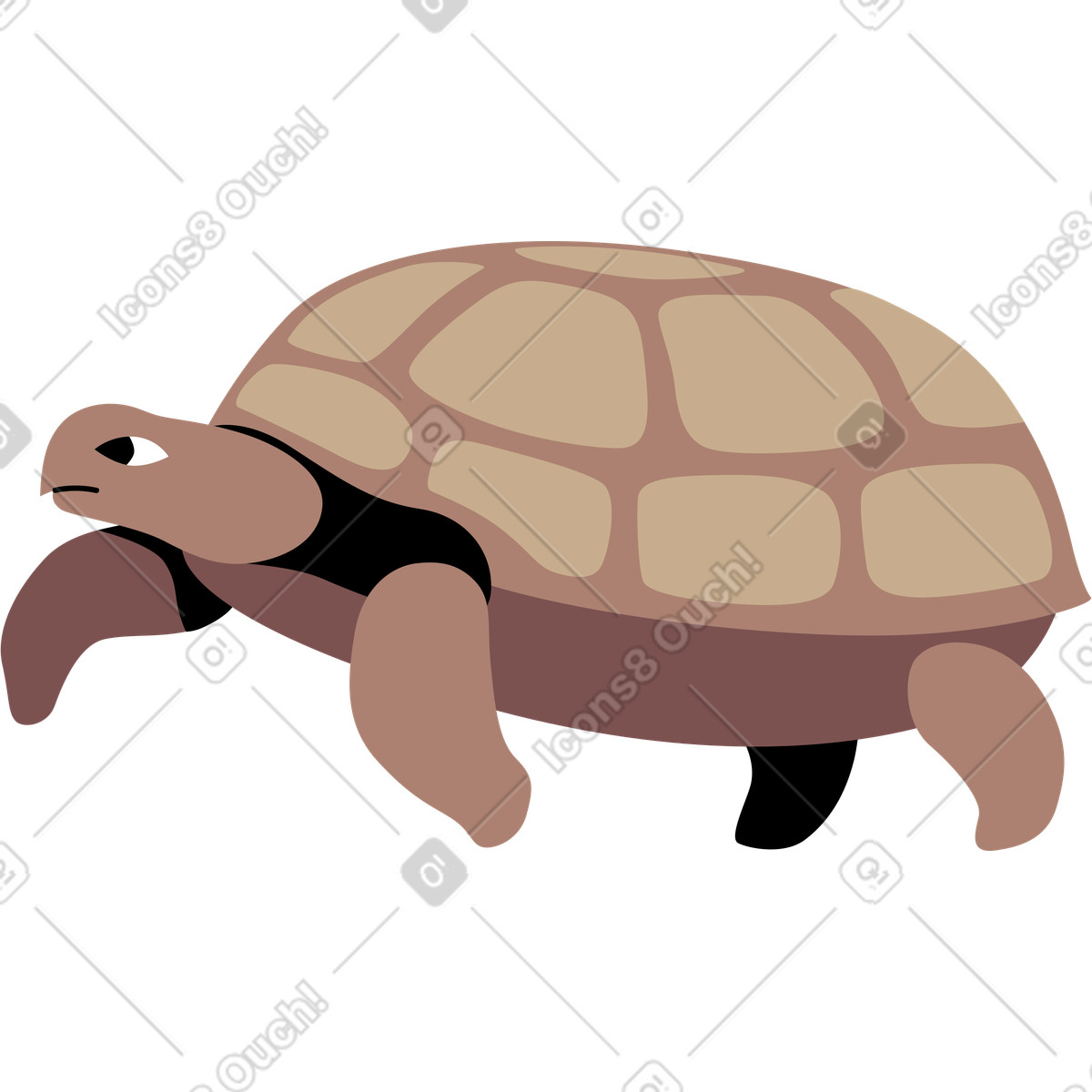 Illustration Tortue dans le style Jaconda à télécharger aux formats PNG, SVG