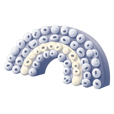 An arrangement of cereal pieces in the shape of a rainbow. The cereal pieces are shaped like small, rounded discs, and each arc of the rainbow is composed of a variety of these pieces. The cereal is organized in a gradient from one end to the other, with the arcs smoothly transitioning. The background is a simple white surface, providing contrast to the colorful cereal arrangement. Each arc of the rainbow is clearly defined, showcasing the distinct shape and texture of the cereal pieces.