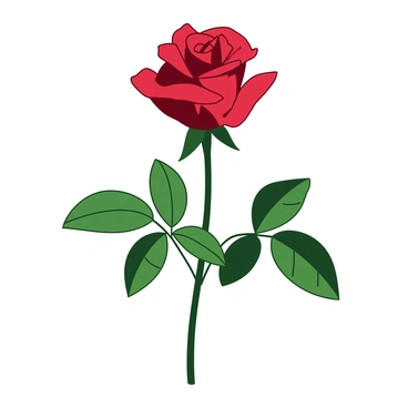 A red rosebud is situated in the center of the image, with delicate petals just starting to unfurl. The rosebud is surrounded by green leaves that add contrast to the vibrant flower. Soft light gently illuminates the rosebud, highlighting the intricate textures of the petals and the glossy surface of the leaves. The background is unobtrusive, ensuring the focus remains on the rosebud, which represents youthful beauty in its early stage of blossoming.