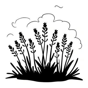 Lupine flower drawing