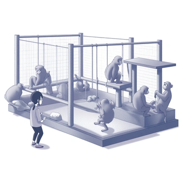 Marie stands in front of an enclosure at a zoo, watching a group of playful monkeys. The monkeys are engaged in various activities, swinging from ropes and climbing on branches, while some sit on a platform, grooming each other. The enclosure includes a wooden structure with multiple levels and natural elements like rocks and vegetation. Marie's expression shows curiosity and delight as she observes the monkeys' playful interactions. The background features other animal enclosures, hinting at a lively atmosphere in the zoo.