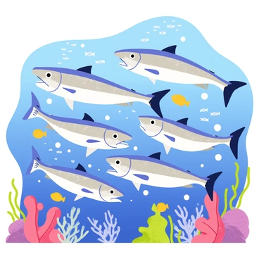 A group of barracudas with sleek, elongated bodies and sharp teeth swimming rapidly through a vibrant underwater scene. The barracudas are depicted with varying shades of silver and blue, their scales glistening under the water. Bubbles and small fish scatter around them as they move, creating a sense of motion and excitement. The background features coral formations and schools of smaller fish, emphasizing the intensity of the feeding frenzy.