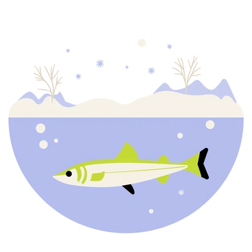 A frozen lake scene with a smooth, icy surface reflecting light. Below the ice, a pike fish with green and white stripes is swimming gracefully. The water is a clear blue, allowing visibility of the fish. Above the ice, snowflakes are gently falling, creating a soft white blanket on the surface. The surrounding landscape features bare trees and a distant outline of mountains, enhancing the chilly atmosphere.