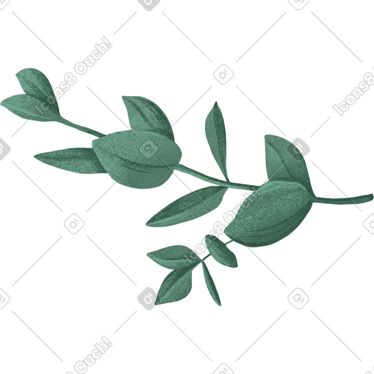 下载 Floral 风格的 Double green eucalyptus branch 插画，支持 PNG、SVG 格式