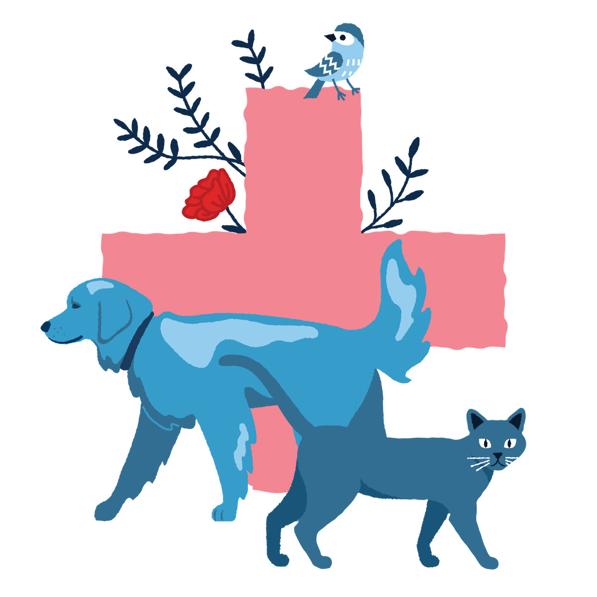 Animal care for dog and cat illustration in PNG, SVG