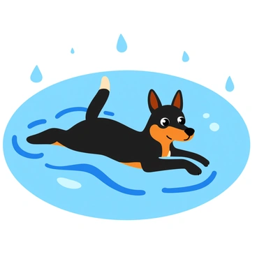 A black and tan kelpie swimming gracefully in a clear blue river. The dog is positioned in the center of the image, its fur glistening with droplets from a gentle rain. Ripples are forming around the kelpie as it moves through the water, creating a circular pattern that spreads outward. In the background, soft rain can be seen falling, with small droplets creating splashes on the river's surface. The overall scene is lively, capturing the dynamic movement of the swimming dog and the tranquil setting.