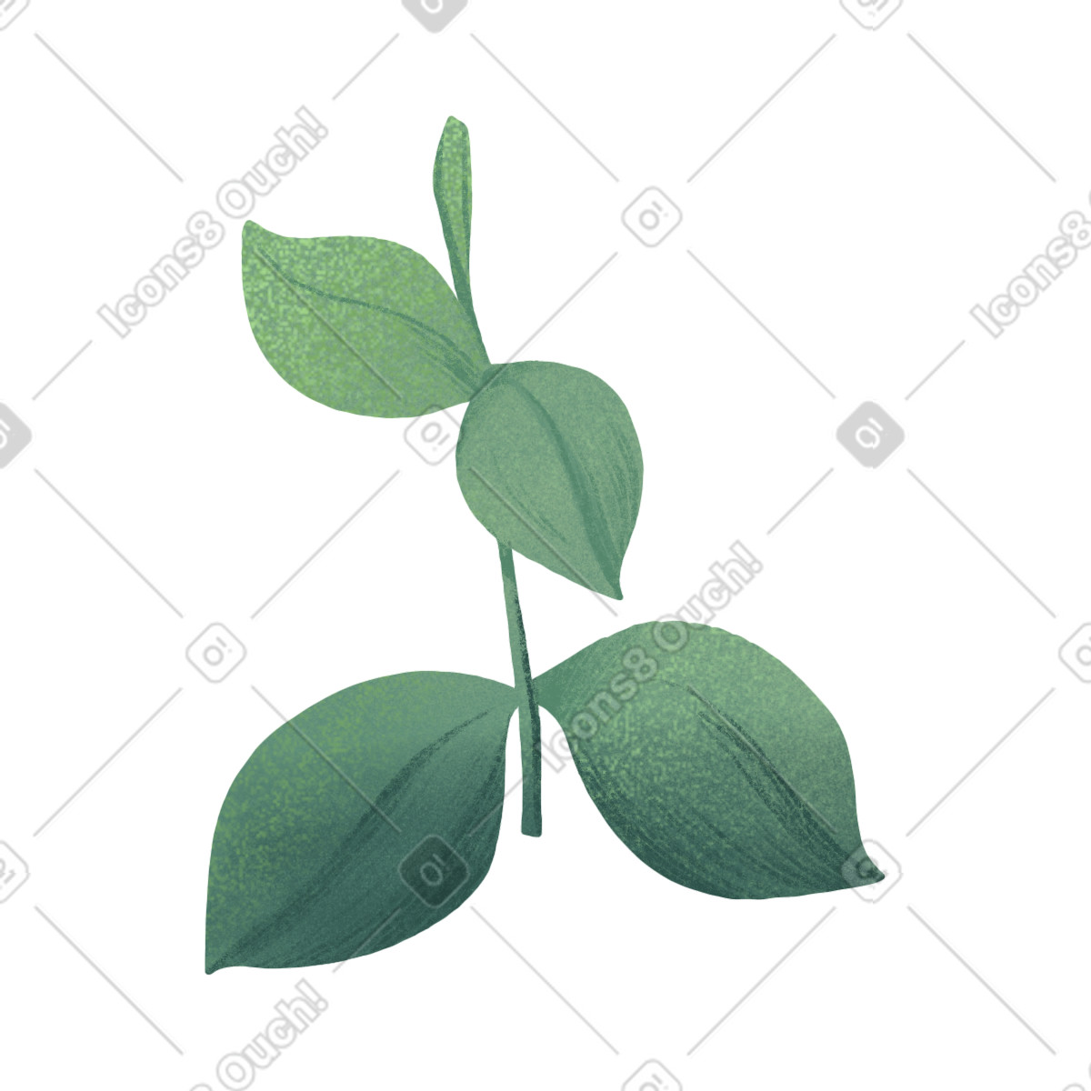 Small tender twig of eucalyptus illustrazione in stile Floral scarica in PNG, SVG