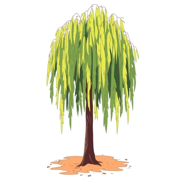 A yellow weeping willow tree stands tall with long, drooping branches that resemble a figure crying. The branches cascade downwards, creating an effect of tears streaming from the tree. The leaves are a vibrant shade of green, adding contrast to the overall scene. The ground beneath the tree is softly covered in a light orange carpet of fallen leaves, enhancing the emotional atmosphere of the image. Sunlight filters through the branches, casting gentle shadows that mimic the shape of the figure.