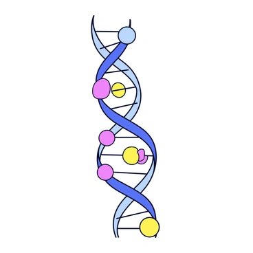 A microscopic view of a DNA molecule displaying its double helix structure. The DNA strands are twisted around each other, showcasing the distinctive sugar-phosphate backbone with clear labels indicating "sugar," "phosphate," and "base pairs." The base pairs are represented as colored circles connecting the two strands, with labels identifying "adenine," "thymine," "cytosine," and "guanine." The background is a simple light color to enhance visibility of the DNA structure and labels.